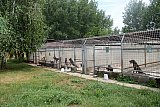 Tierheim Allatbarat in Nyíregyháza