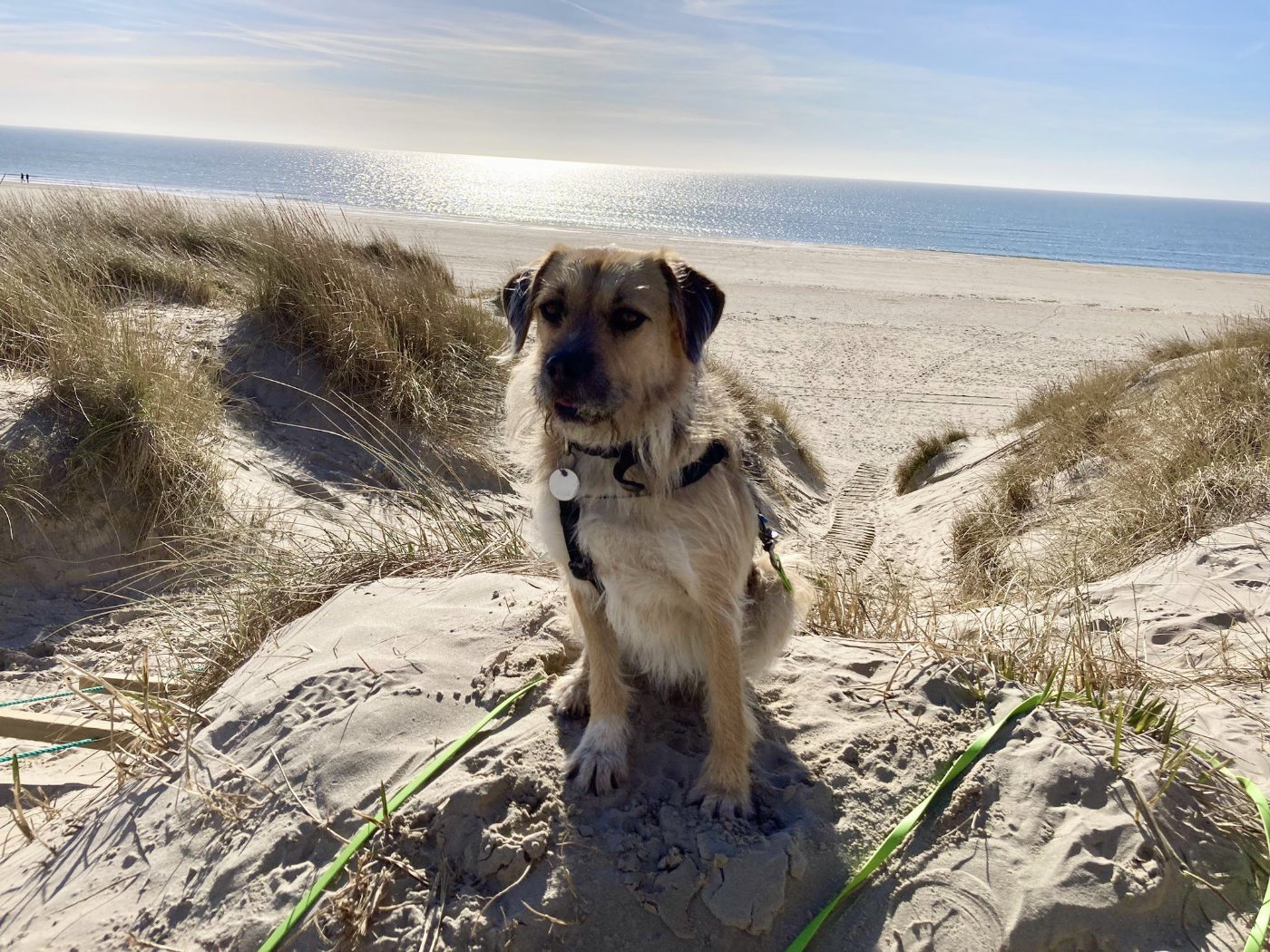Glücksbilder