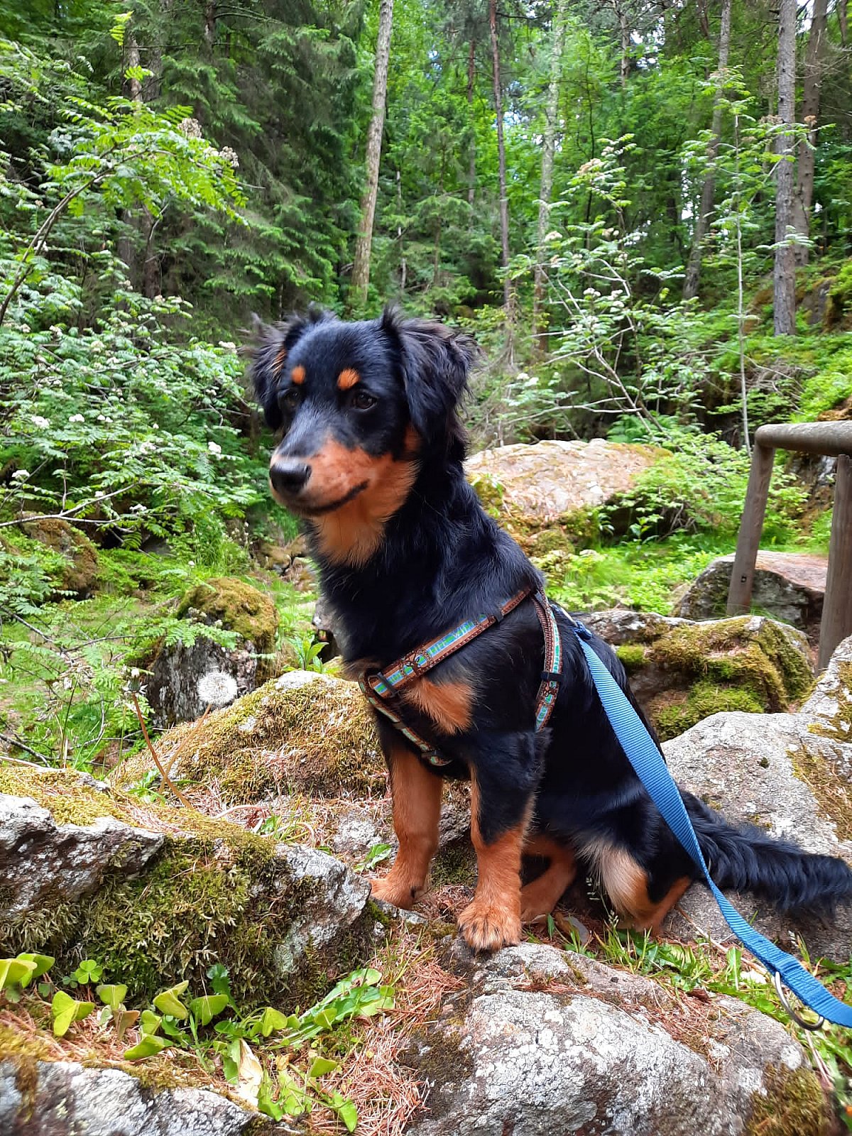 Glücksbilder