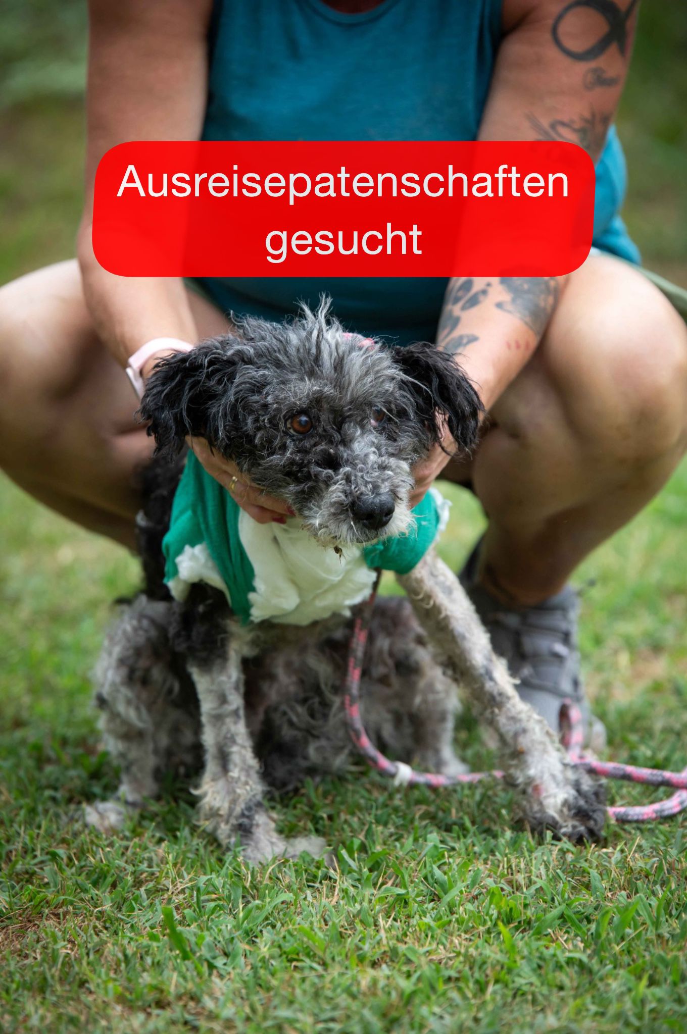 Ausreisepaten gesucht