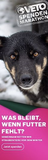 VETO Spendenmarathon