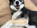 Hera
