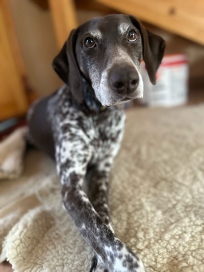 Smartie
