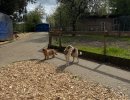 image00004