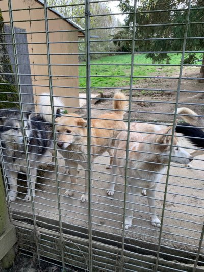 image00008