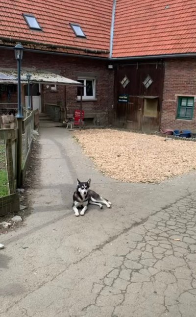 image00008b