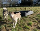 image00018
