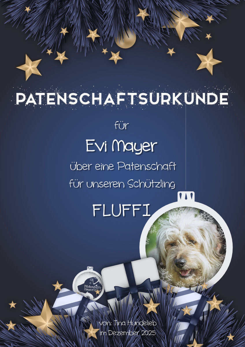 WH-Urkunde hoch blau