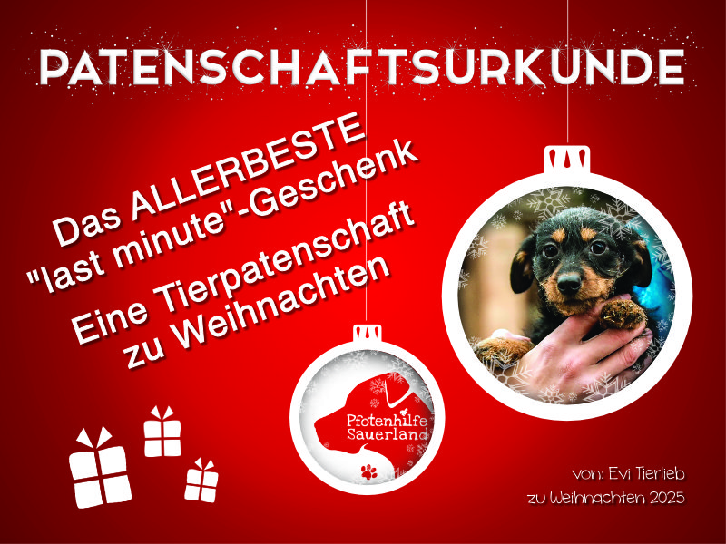 Geschenkpatenschaften