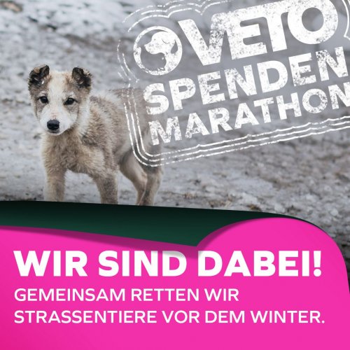 Spendenmarathon für Tiere 2025